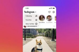 Instagram is testing a dedicated feed for posts from Meta Verified users