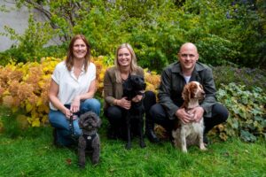 As pet owners turn to mobile insurance apps, Lassie raises $25M Series B led by Balderton