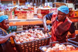 Online grocery startup Pricepally to expand in Nigeria backed by $1.3M funding