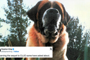 Stephen King teases extract from upcoming 'Cujo' sequel