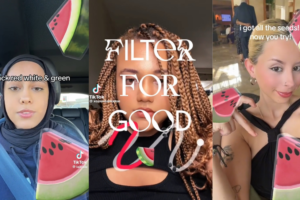 What is TikTok's watermelon 'Filter for Good'?