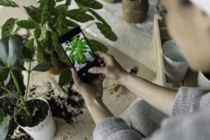 Become a plant expert with this iOS app for $15