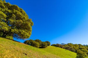 How come founders don’t give a crap about sustainability?