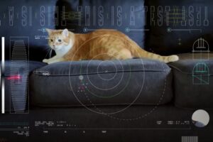 NASA beamed a cat video back to Earth from deep space