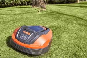 Best robot lawn mowers in 2024 (UK)