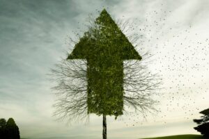 Investors are optimistic about 2024