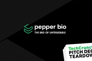 Sample Seed pitch deck: Pepper Bio's $6.5M deck