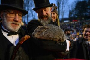 Punxsutawney Phil takes over the internet on Groundhog Day